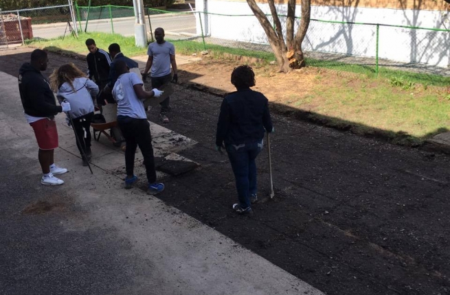 Crédit photo : Centre d'écologie urbaine de Montréal