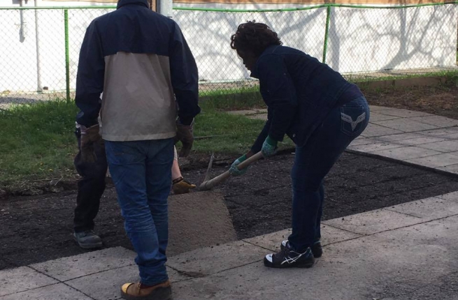 Crédit photo : Centre d'écologie urbaine de Montréal