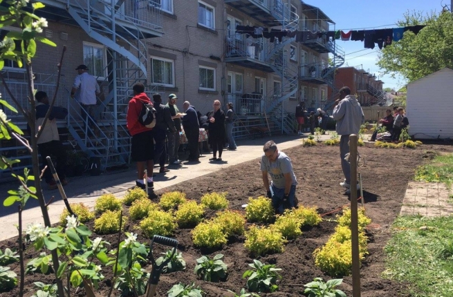 Crédit photo : Centre d'écologie urbaine de Montréal