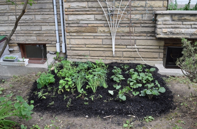 Un nouveau jardin pour la biodiversité