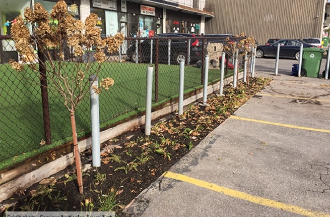 Crédit photo : Service horticoles Pouce-vert