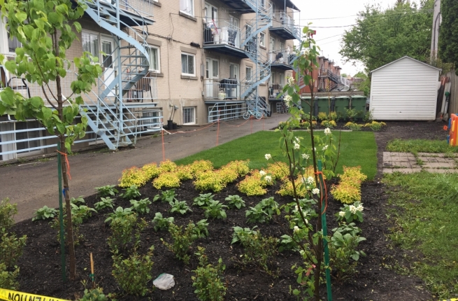 Crédit photo : Centre d'écologie urbaine de Montréal