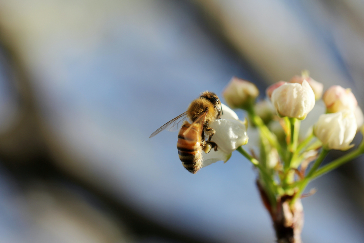 Crédit photo : Sandy Millar via Unsplash